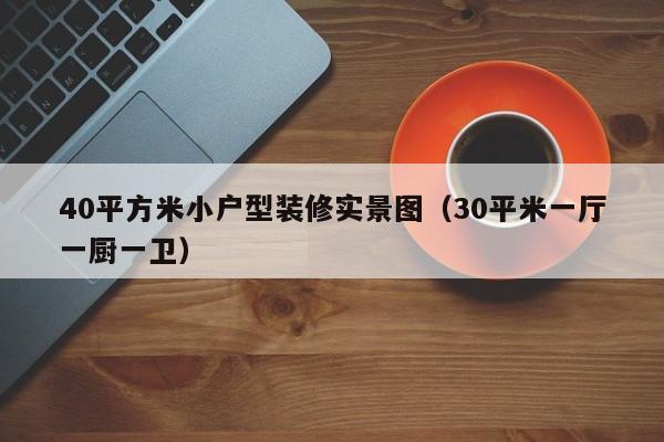 40平方米小户型装修实景图（30平米一厅一厨一卫）