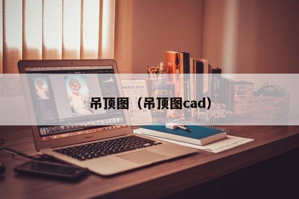 吊顶图（吊顶图cad）