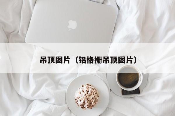 吊顶图片（铝格栅吊顶图片）