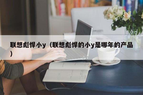 联想彪悍小y（联想彪悍的小y是哪年的产品）