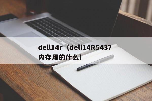 dell14r（dell14R5437 内存用的什么）