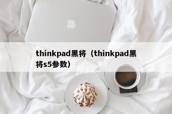 thinkpad黑将（thinkpad黑将s5参数）