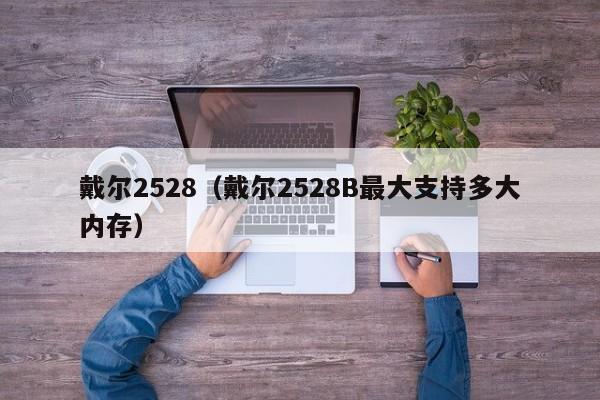 戴尔2528（戴尔2528B最大支持多大内存）