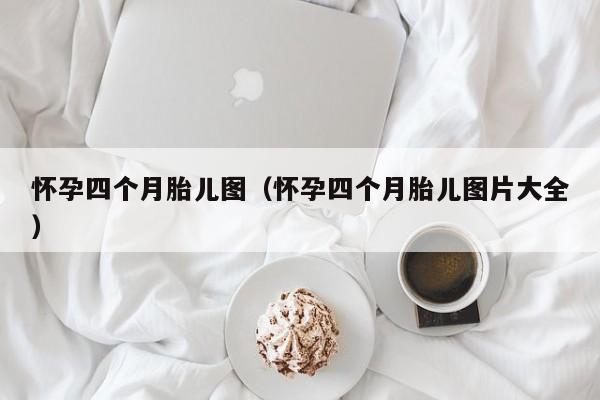 怀孕四个月胎儿图（怀孕四个月胎儿图片大全）