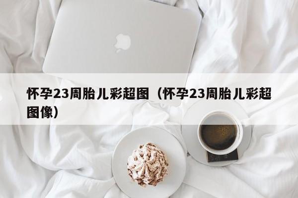 怀孕23周胎儿彩超图（怀孕23周胎儿彩超图像）