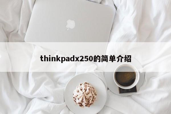 thinkpadx250的简单介绍