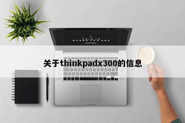 关于thinkpadx300的信息