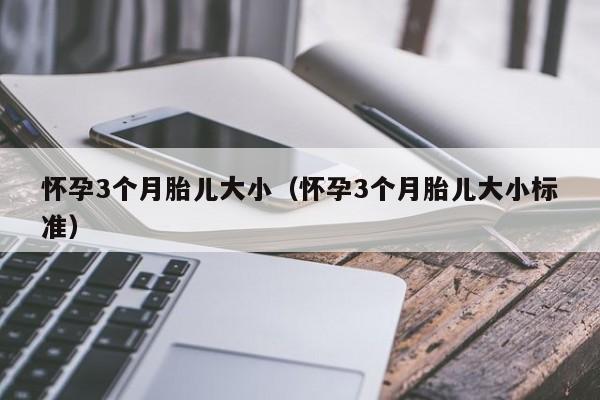 怀孕3个月胎儿大小（怀孕3个月胎儿大小标准）