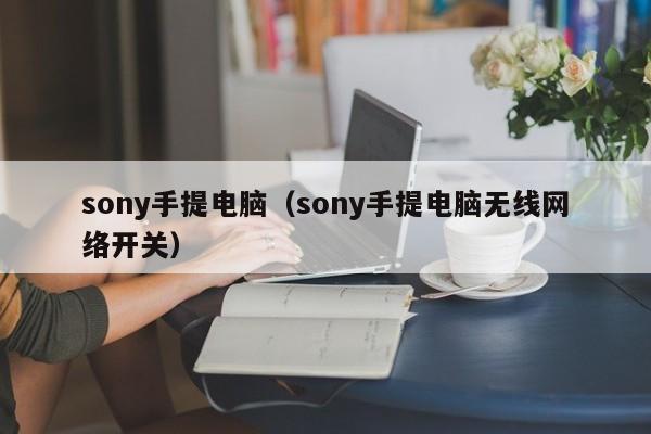 sony手提电脑（sony手提电脑无线网络开关）