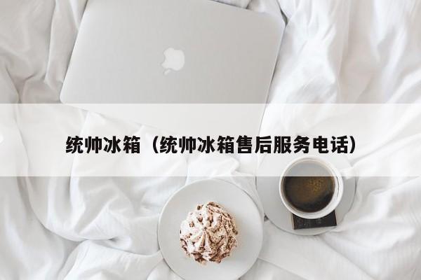 统帅冰箱（统帅冰箱售后服务电话）