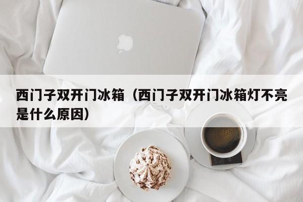 西门子双开门冰箱（西门子双开门冰箱灯不亮是什么原因）