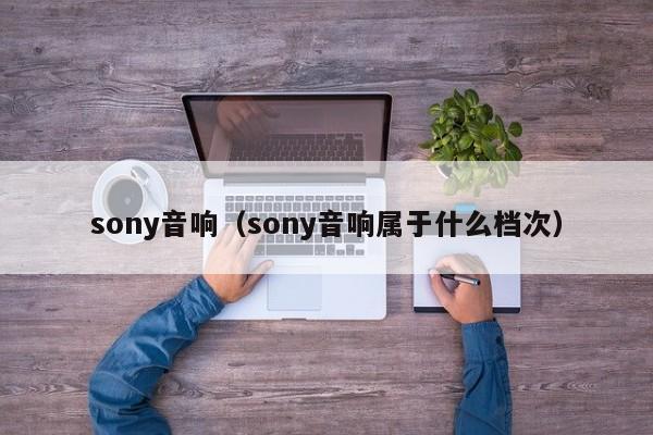 sony音响（sony音响属于什么档次）