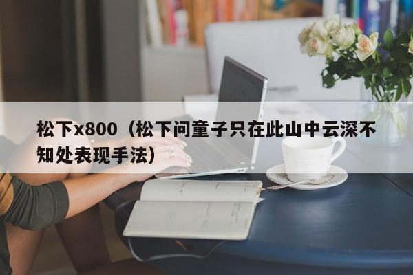 松下x800（松下问童子只在此山中云深不知处表现手法）