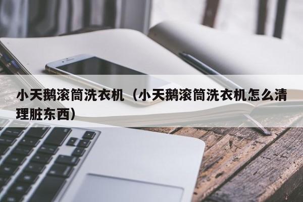 小天鹅滚筒洗衣机（小天鹅滚筒洗衣机怎么清理脏东西）