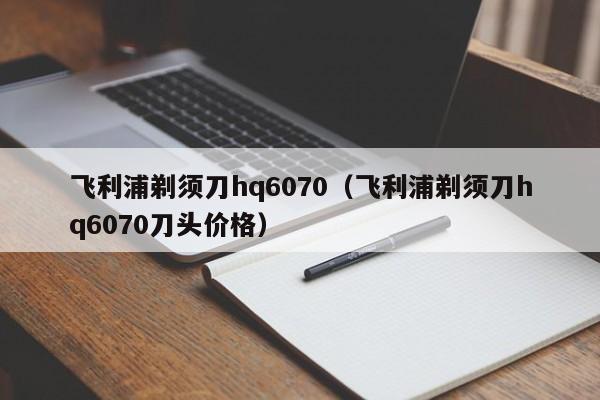 飞利浦剃须刀hq6070（飞利浦剃须刀hq6070刀头价格）