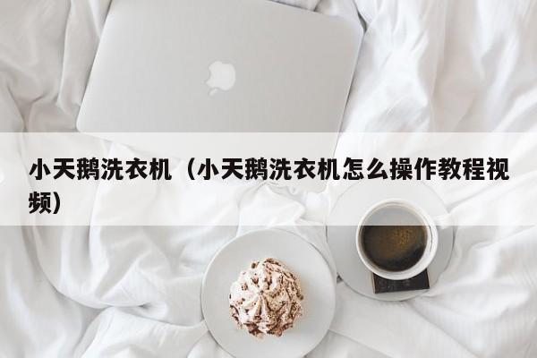 小天鹅洗衣机（小天鹅洗衣机怎么操作教程视频）