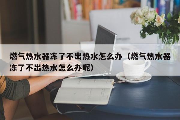 燃气热水器冻了不出热水怎么办（燃气热水器冻了不出热水怎么办呢）