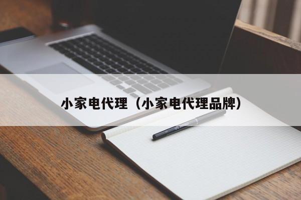 小家电代理（小家电代理品牌）